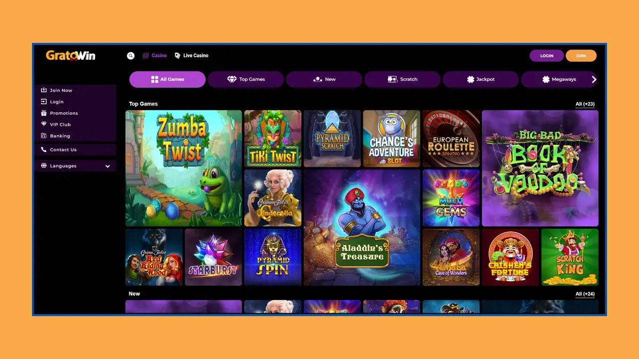Cos'è la versione mobile e come si usa?